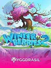 Winterberries 2